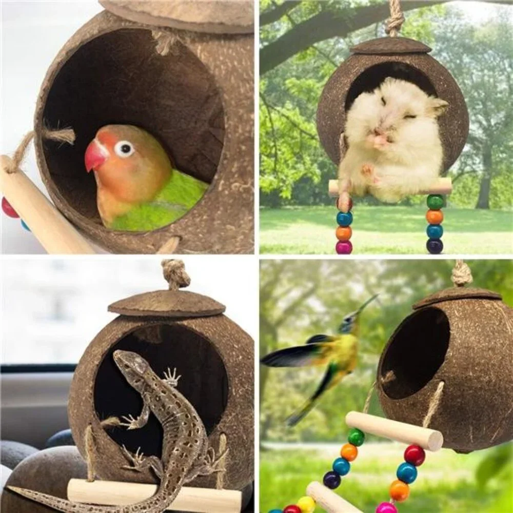 Hanging Coconut Bird House with Ladder,Natural Coconut Fiber Shell Bird Nest